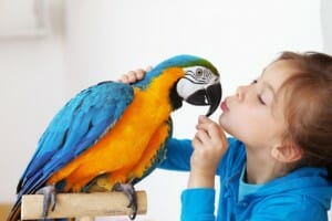 Jeune fille câlinant son perroquet